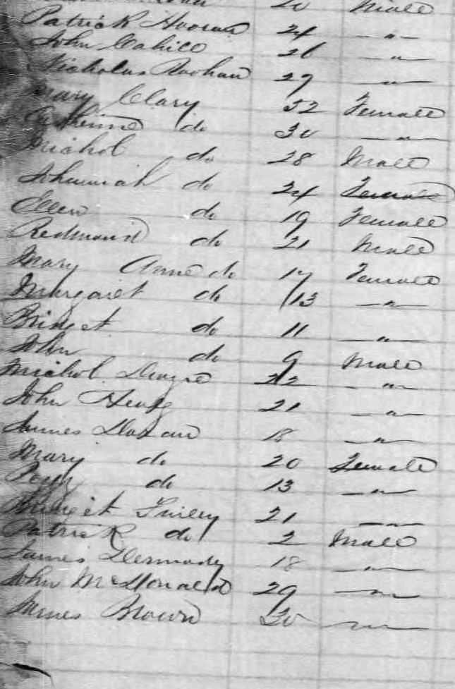 1850 Cleary New Orleans Passenger List 